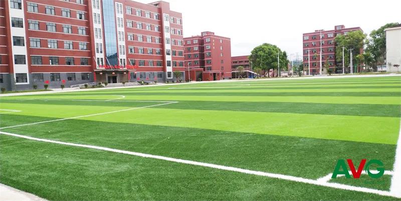 【話題】學體育，我們虧了嗎？